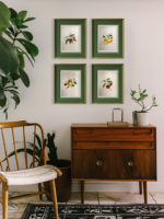 The Nature's Fruits in Miniature Painting