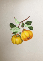 The Nature's Fruits in Miniature Painting - Image 4