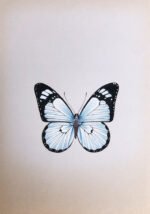 The Beautiful Butterflies in Miniature Painting - Image 4