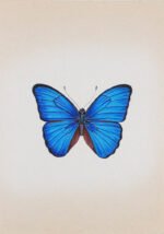 The Beautiful Butterflies in Miniature Painting - Image 5