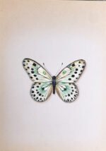 The Beautiful Butterflies in Miniature Painting - Image 7